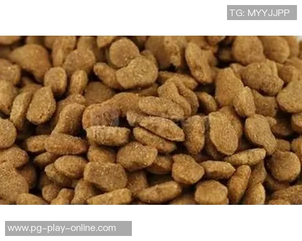 pg麻将胡了爆奖视频-PG麻将胡了爆奖视频，热血实战与激动人心的瞬间-pg麻将胡了爆奖视频